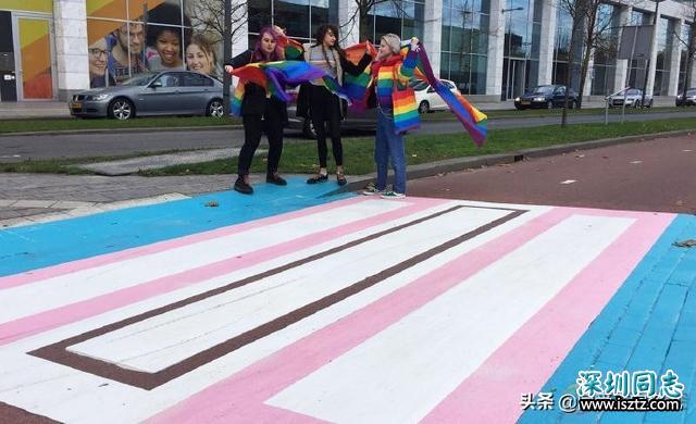 欧洲首个“跨性别斑马线”在荷兰亮相